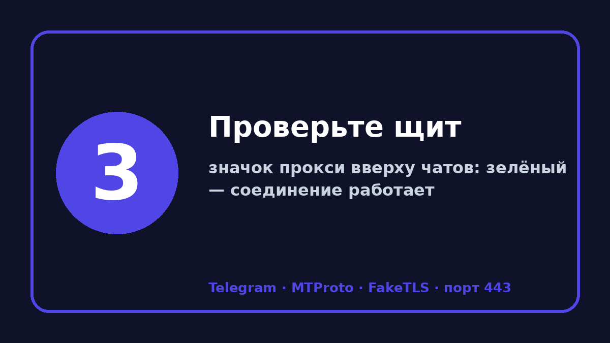 Прокси для телеграмм: шаг 3 — Проверьте щит