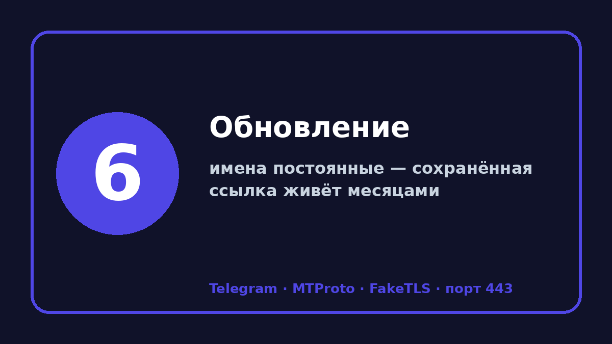 Прокси сервер для тг: шаг 6 — Обновление